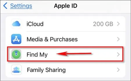 Select Find My in Apple Settings