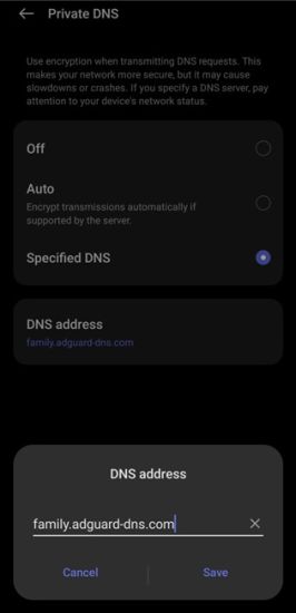 Set DNS address